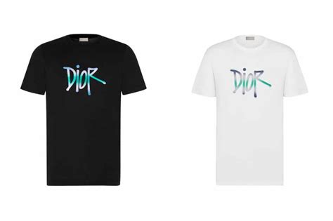 stussy dior t shirt|shawn stussy x dior t shirts.